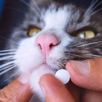 Συμπληρώματα Διατροφής