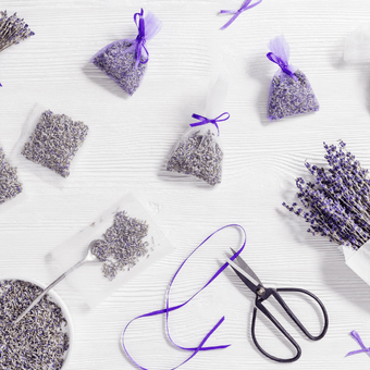 Αρωματικά Ρούχων - Σκοροκτόνα - Ρολά Ξεσκονίσματος