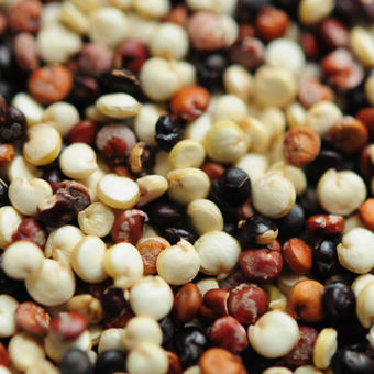 Τραχανάς - Πλιγούρι - Σιτάρι - Κινόα