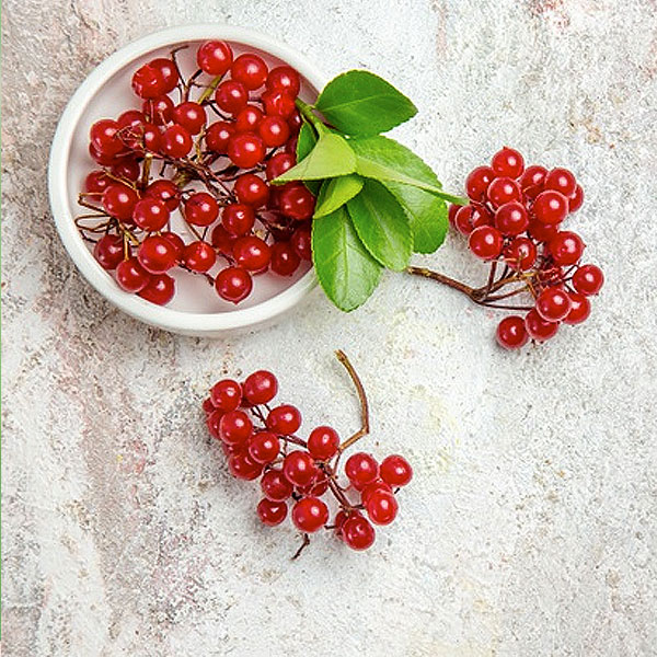 Cranberry