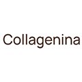 Collagenina