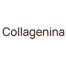 Collagenina