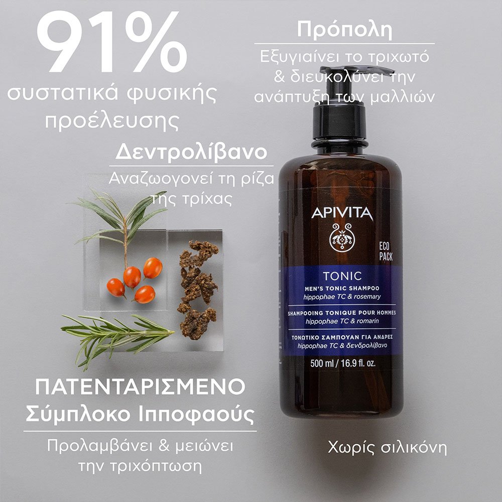 Apivita Men's Tonic Τονωτικό Σαμπουάν Κατά της Τριχόπτωσης για Άνδρες με Ιπποφαές TC & Δενδρολίβανο, 500ml