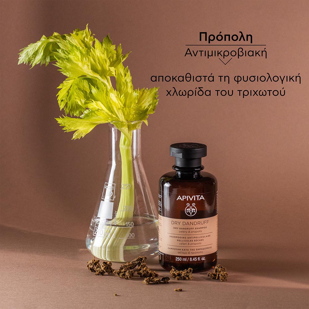 Apivita Dry Dandruff Shampoo with Celery & Propolis Σαμπουάν Κατά της Ξηροδερμίας με Σέλερι & Πρόπολη, 250ml