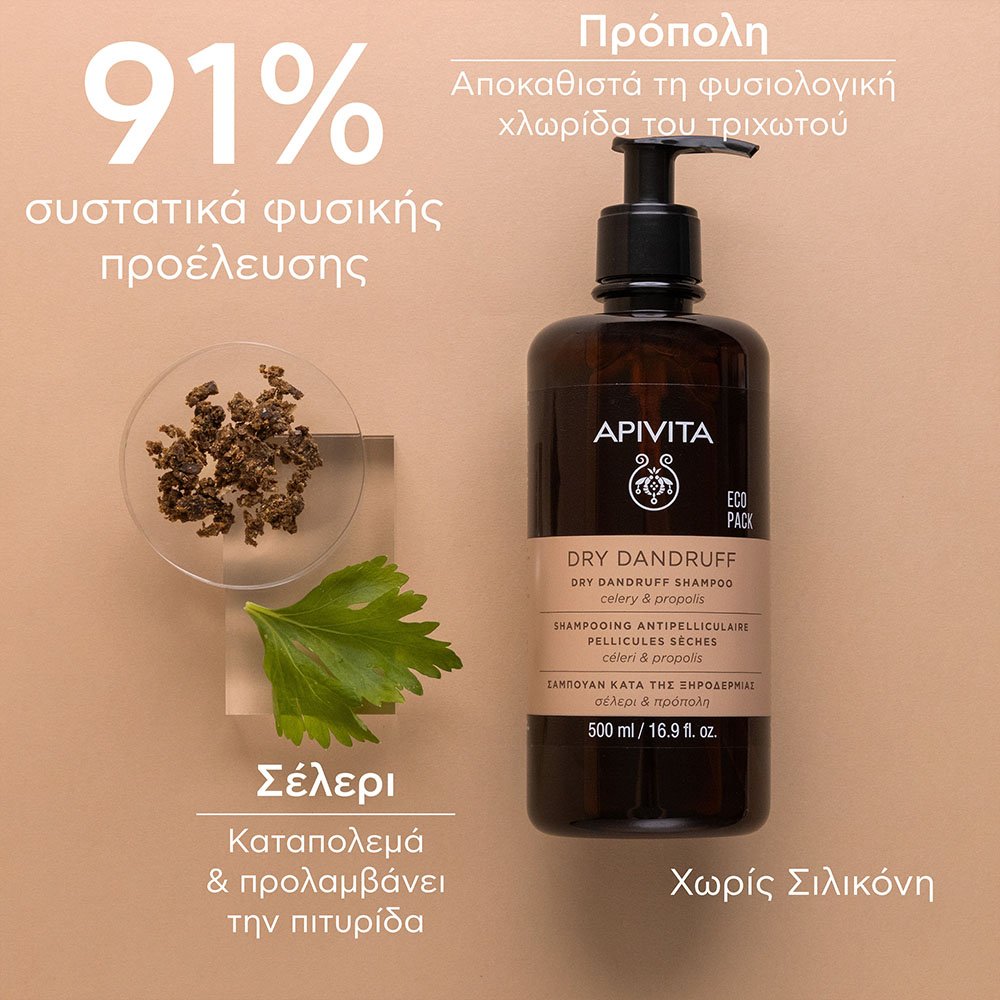 Apivita Eco Pack Dry Dandruff Shampoo Σαμπουάν κατά της Ξηροδερμίας με Σέλερι & Πρόπολη, 500ml