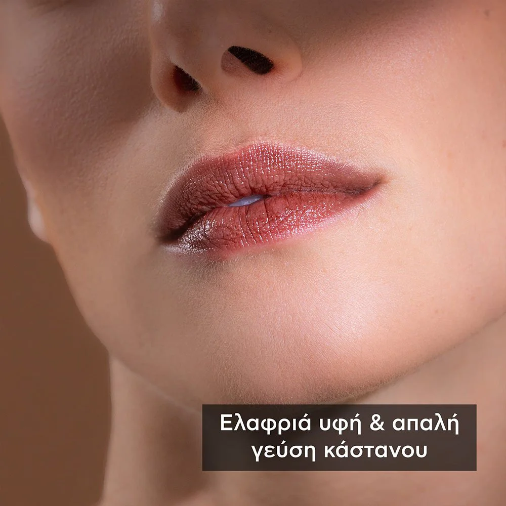 Apivita Lip Care Chestnut Ενυδατικό Χειλιών Κάστανο, 4.4g Apivita Lip Care Chestnut Ενυδατικό Χειλιών Κάστανο, 4.4g