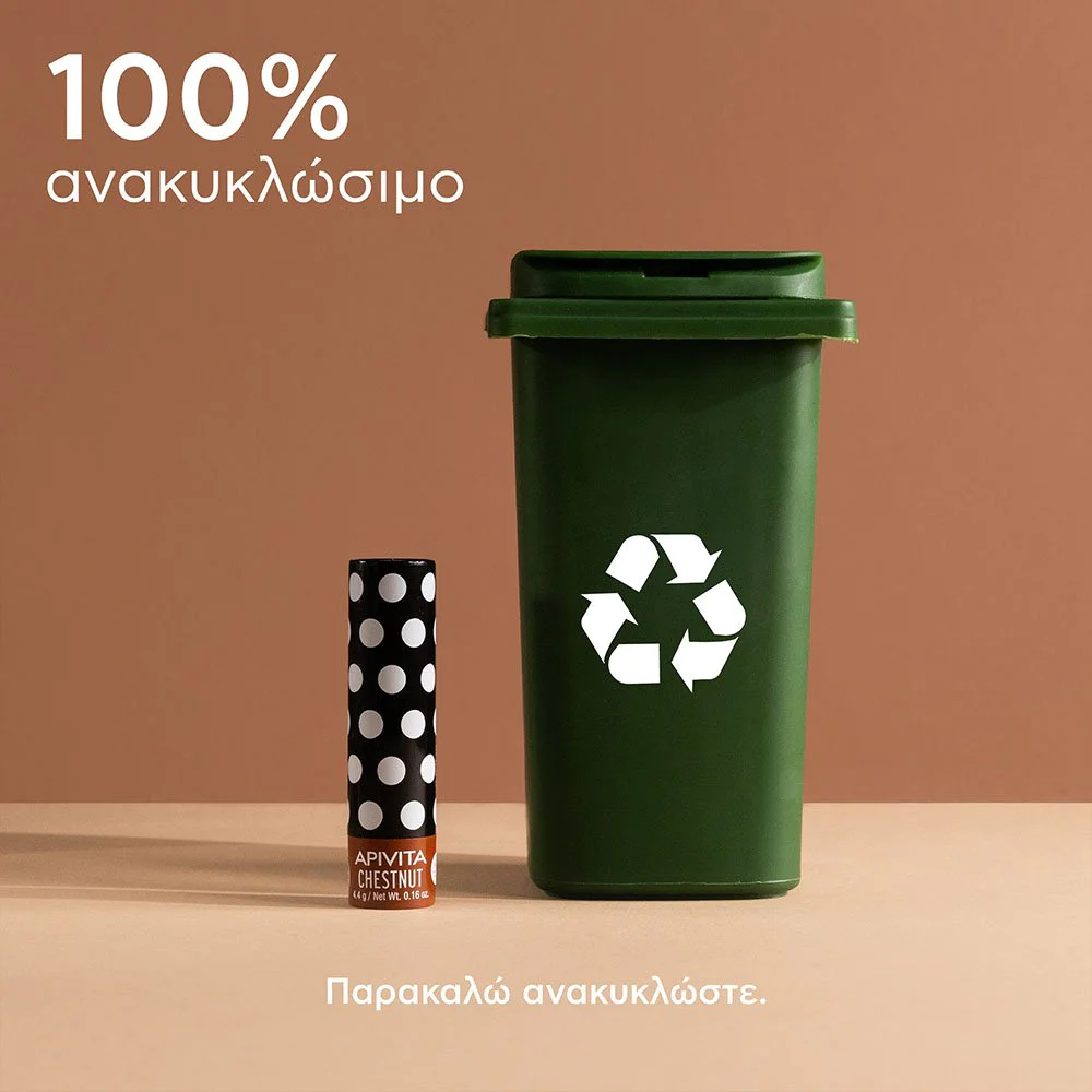 Apivita Lip Care Chestnut Ενυδατικό Χειλιών Κάστανο, 4.4g Apivita Lip Care Chestnut Ενυδατικό Χειλιών Κάστανο, 4.4g