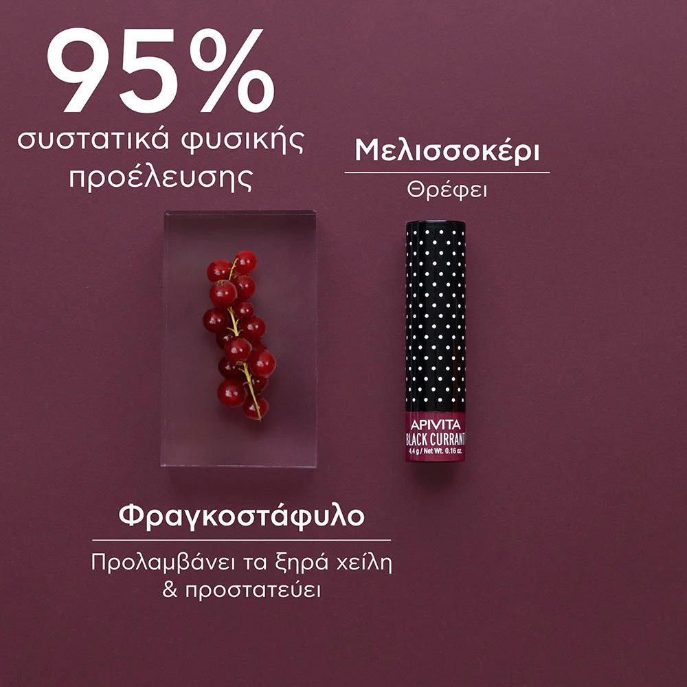 Apivita Lip Care Black Currant Ενυδατικό Χειλιών με Φραγκοστάφυλο, 4.4g Apivita Lip Care Black Currant Ενυδατικό Χειλιών με Φραγκοστάφυλο, 4.4g