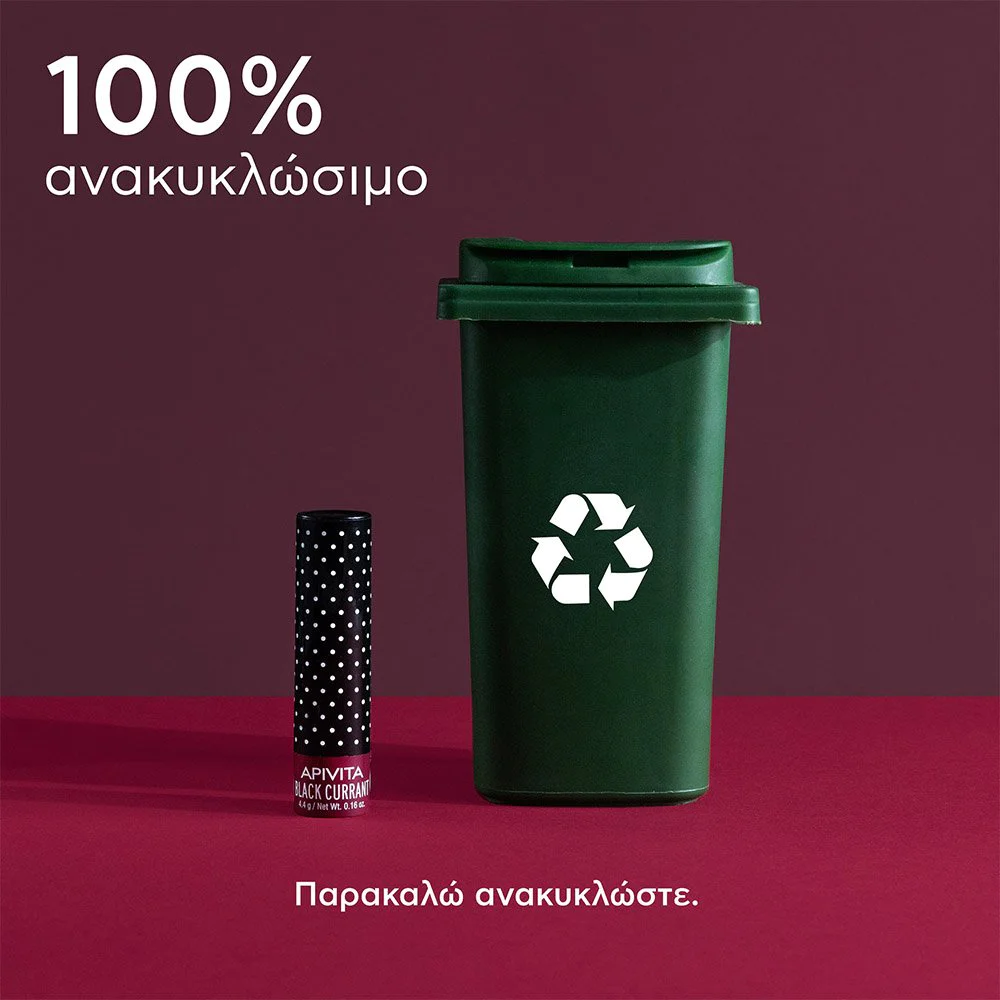 Apivita Lip Care Black Currant Ενυδατικό Χειλιών με Φραγκοστάφυλο, 4.4g Apivita Lip Care Black Currant Ενυδατικό Χειλιών με Φραγκοστάφυλο, 4.4g