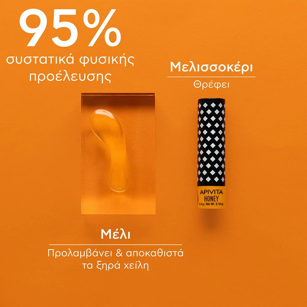 Apivita Bio-Eco Lip Care Honey Ενυδατικό Χειλιών με Μέλι, 4.4gr Apivita Bio-Eco Lip Care Honey Ενυδατικό Χειλιών με Μέλι, 4.4gr