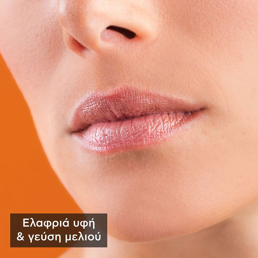 Apivita Bio-Eco Lip Care Honey Ενυδατικό Χειλιών με Μέλι, 4.4gr Apivita Bio-Eco Lip Care Honey Ενυδατικό Χειλιών με Μέλι, 4.4gr