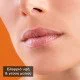 Apivita Bio-Eco Lip Care Honey Ενυδατικό Χειλιών με Μέλι, 4.4gr Apivita Bio-Eco Lip Care Honey Ενυδατικό Χειλιών με Μέλι, 4.4gr