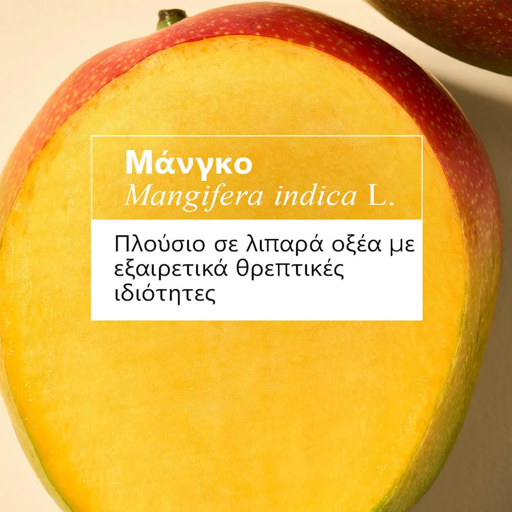 Klorane Mangue Σαμπουάν Θρέψης με Βούτυρο Μάνγκο BIO για Ξηρά μαλλιά, 200ml Klorane Mangue Σαμπουάν Θρέψης με Βούτυρο Μάνγκο BIO για Ξηρά μαλλιά, 200ml