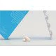 Olonea Holistic Med Bacteflora με Προβιοτικά και Πρεβιοτικά, 10κάψουλες