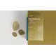Olonea BacteFlora Gold Συμβιωτικό για την Υγεία & Ομαλή Λειτουργία του Εντέρου με Ultra Υψηλή Περιεκτικότητα, 10κάψουλες Olonea BacteFlora Gold Συμβιωτικό για την Υγεία & Ομαλή Λειτουργία του Εντέρου με Ultra Υψηλή Περιεκτικότητα, 10κάψουλες