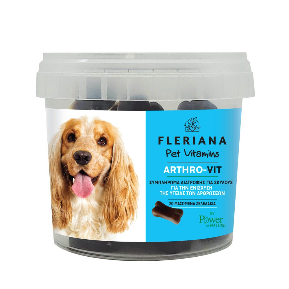 Fleriana Pet Vitamins Arthro-Vit Dogs Συμπλήρωμα Διατροφής για Σκύλους σε Μασώμενα Ζελεδάκια για την Ενίσχυση της Φυσιολογικής Λειτουργίας των Αρθρώσεων, 20 Μασώμενα Ζελεδάκια