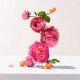 Roger & Gallet Rose Eau Parfumee Άρωμα Ροδοπέταλων Τριαντάφυλλου Δαμασκού, 30ml