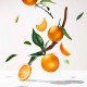 Roger & Gallet Bois d'Orange Αφρόλουτρο Άρωμα Πορτοκάλι, 200ml