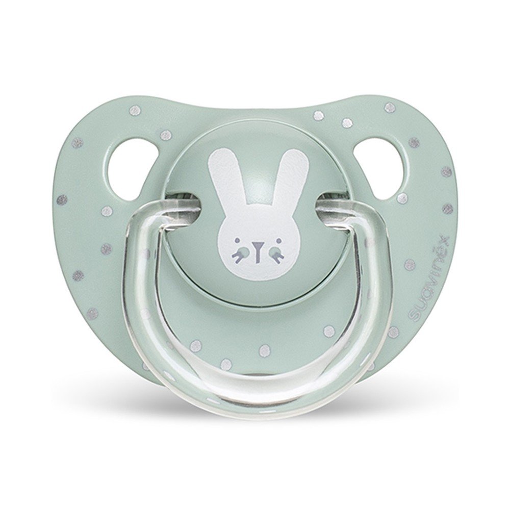 Suavinex Evo Hygge Σιλικόνης Rabbit Mint 0-6m 1τμχ Suavinex Evo Hygge Σιλικόνης Rabbit Mint 0-6m 1τμχ