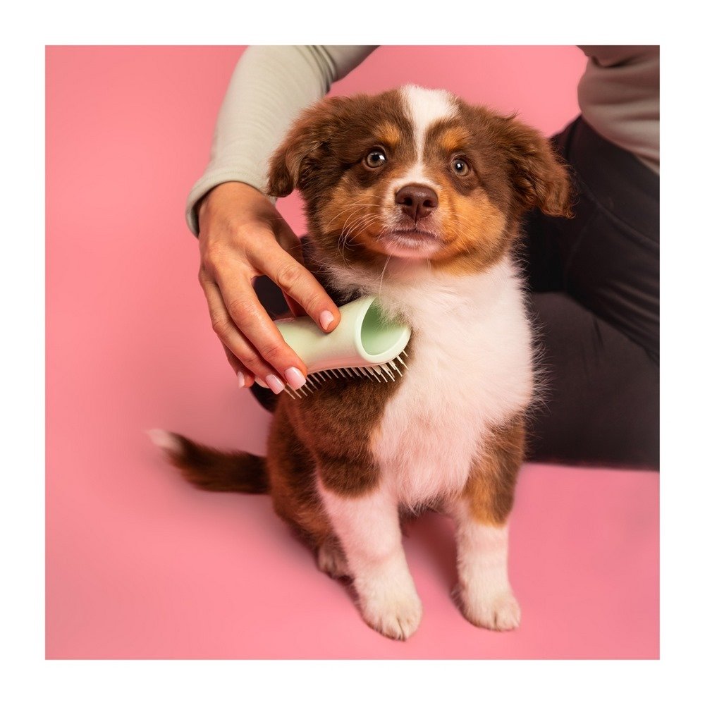 Pet Teezer Detangling & Dog Grooming Brush Βούρτσα για Σκυλιά Μικρού Μεγέθους Πράσινη, 1τμχ