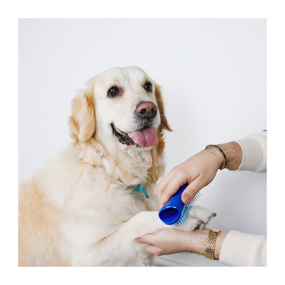 Pet Teezer Detangling & Dog Grooming Brush Βούρτσα για Σκυλιά Μικρού Μεγέθους Μπλε/Σιέλ, 1τμχ