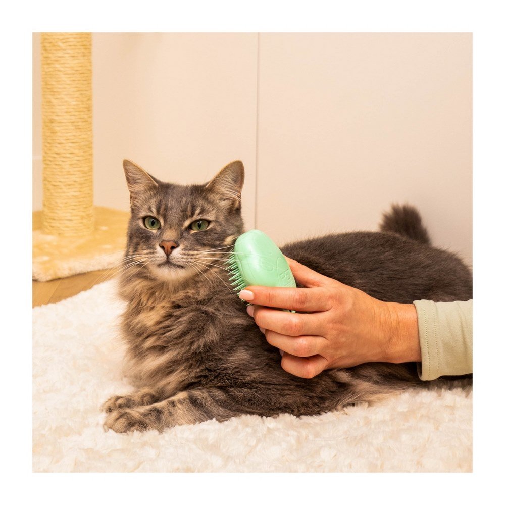 Pet Teezer Cat Grooming Brush Βούρτσα για Γάτες με Κοντό/Μεσαίο Τρίχωμα Πράσινη, 1τμχ