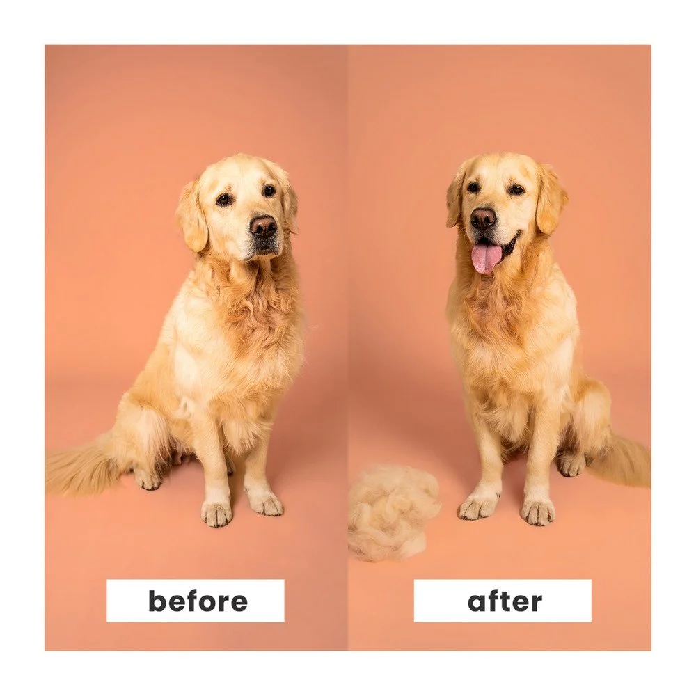 Pet Teezer Detangling & Dog Grooming Brush Βούρτσα για Σκυλιά Μεσαίου & Μεγάλου Μεγέθους Βεραμάν/Ροζ, 1τμχ Pet Teezer Detangling & Dog Grooming Brush Βούρτσα για Σκυλιά Μεσαίου & Μεγάλου Μεγέθους Βεραμάν/Ροζ, 1τμχ