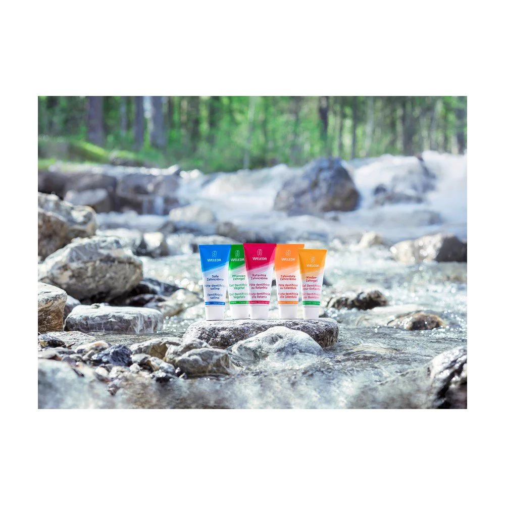 Weleda Salt Toothpaste Οδοντόκρεμα Άλατος, 75ml Weleda Salt Toothpaste Οδοντόκρεμα Άλατος, 75ml