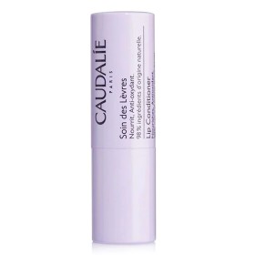 Caudalie Lip Conditioner για Ενυδάτωση των Χειλιών, 4,5gr