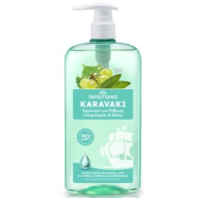 PAPOUTSANIS KARAVAKI ΣΑΜΠΟΥΑΝ 600ml - (ΡΥΘΜΙΣΗ ΛΙΠΑΡΟΤΗΤΑΣ & DETOX) (ΑΝΤΛΙΑ)