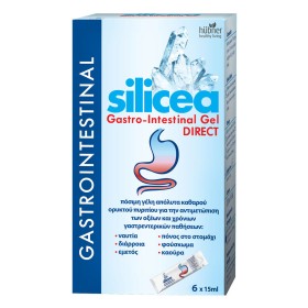 Hubner Silicea Gel, Πόσιμη Γέλη Πυριτίου για την Αντιμετώπιση Γαστρεντερικών Διαταραχών, 6x15ml
