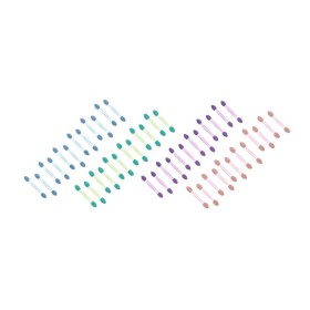 Ro-Ro Accessories Πινελάκια Σκιών σε Xρώματα SP185, σετ 12 τμχ