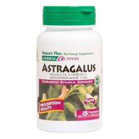 Natures Plus Astragalus 450 mg για Τόνωση του Ανοσοποιητικού Συστήματος, 60caps