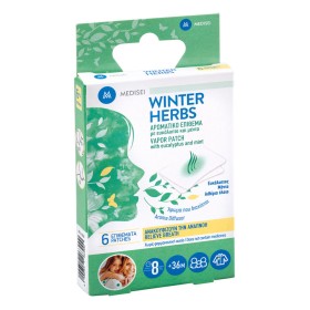 Medisei Winter Herbs Αρωματικό Επίθεμα με Ευκάλυπτο & Μέντα, 6 Τεμάχια