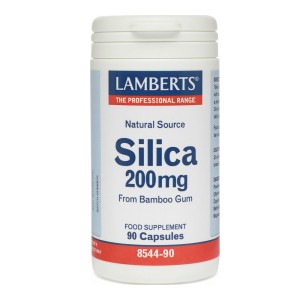 Lamberts Silica Κατάλληλο για τα Μαλλιά, τα Νύχια & τον Συνδετικό Ιστό του Δέρματος, 90caps