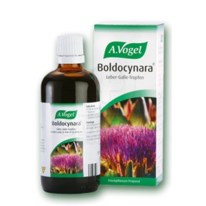 A. Vogel Boldocynara Ενισχυτικό της Πέψης Αποτοξινωτικό Βάμμα με Βάση τη Φρέσκια Αγκινάρα το Αγριοράδικο και το Μπόλντο, 50ml