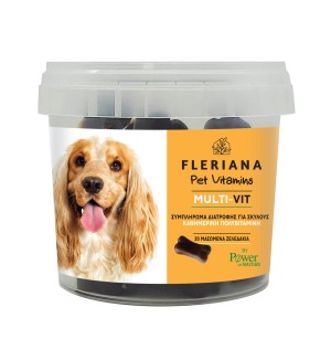 Power Health Pet Vitamins Multi-vit, Συμπλήρωμα Διατροφής για Σκύλους. Για την Διατήρηση της Καλής Υγείας και Ευημερίας του Οργανισμού του Κατοικιδίου, 20 Μασώμενα Ζελεδάκια