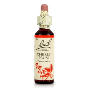 Power Health Bach Cherry Plum Ανθοΐαμα Για Την Αντιμετώπιση Των Καθημερινών Συναισθηματικών Απαιτήσεων, 20ml