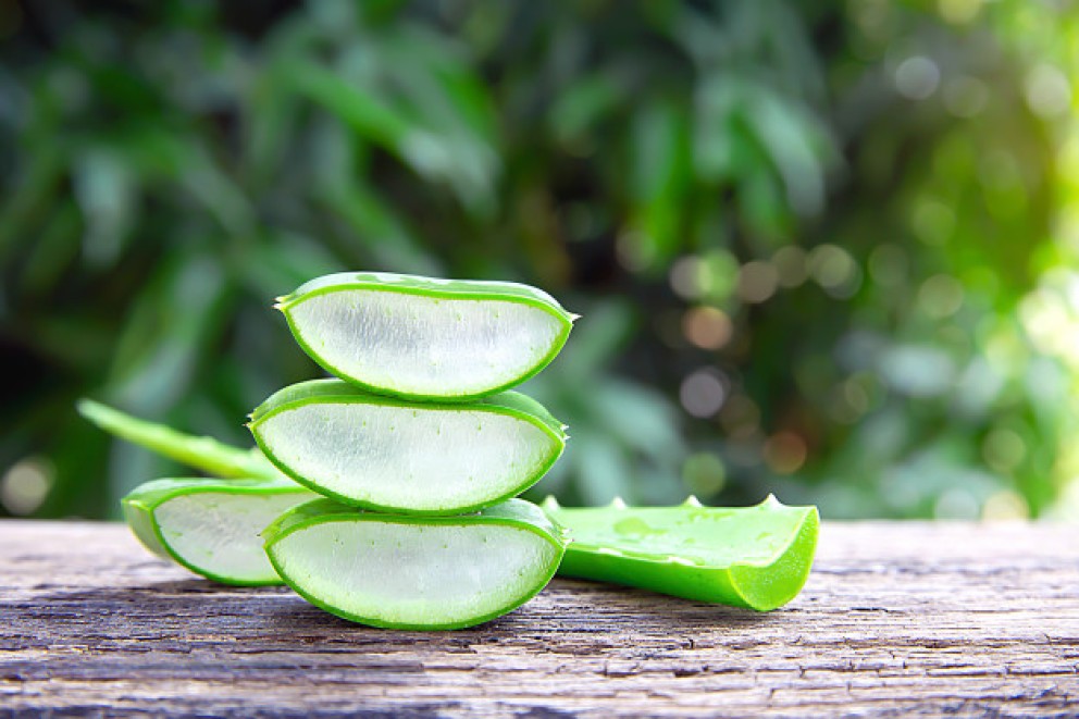 Η Aloe vera και τα πολλαπλά οφέλη της